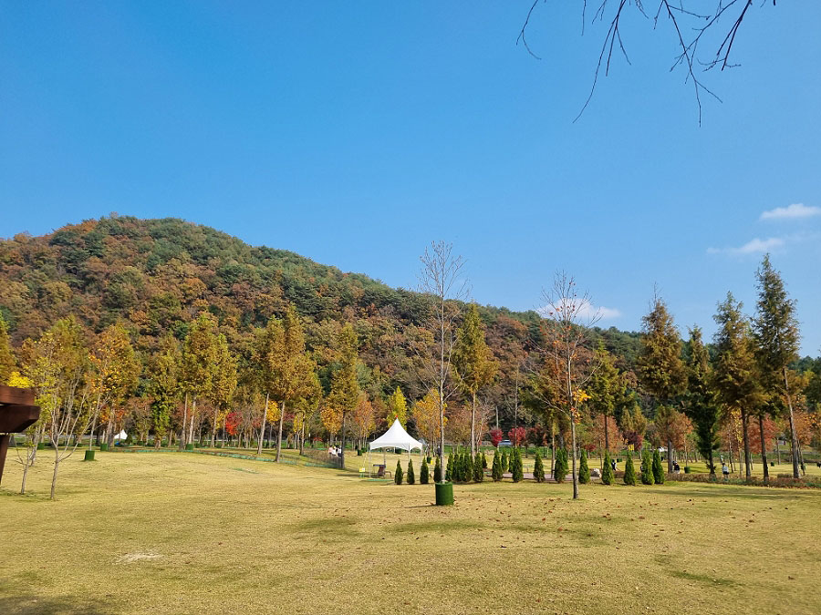 거례리 산천어파크골프장 (화천산천어파크골프장)