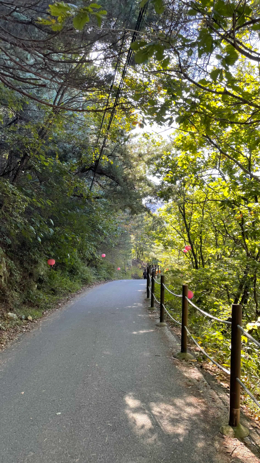 파주 감악산 출렁다리