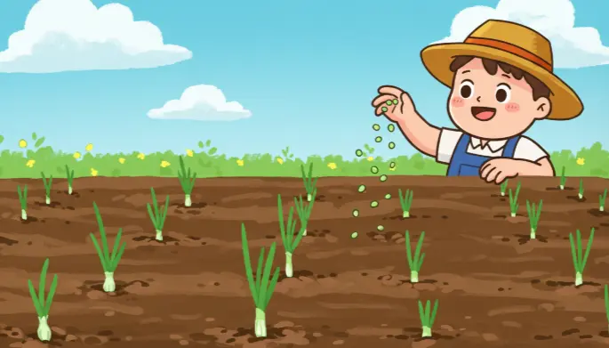 대파 씨앗 파종시기-2