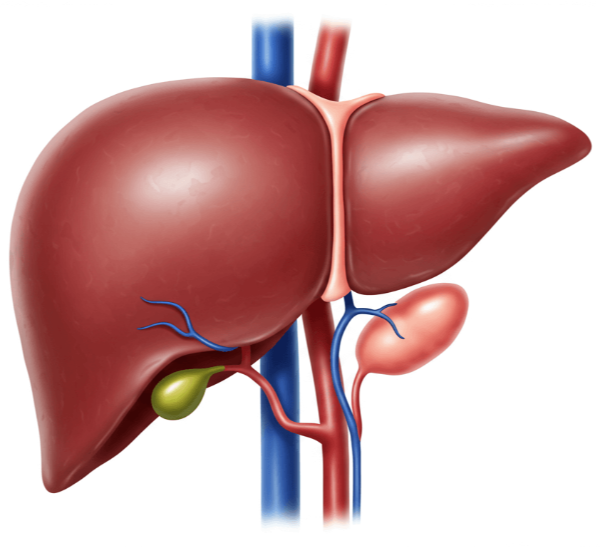 소변에 거품이 나는 이유 사진 10