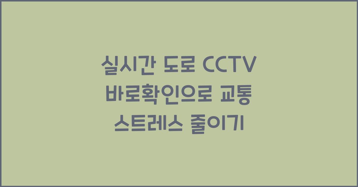 실시간 도로 cctv 바로확인