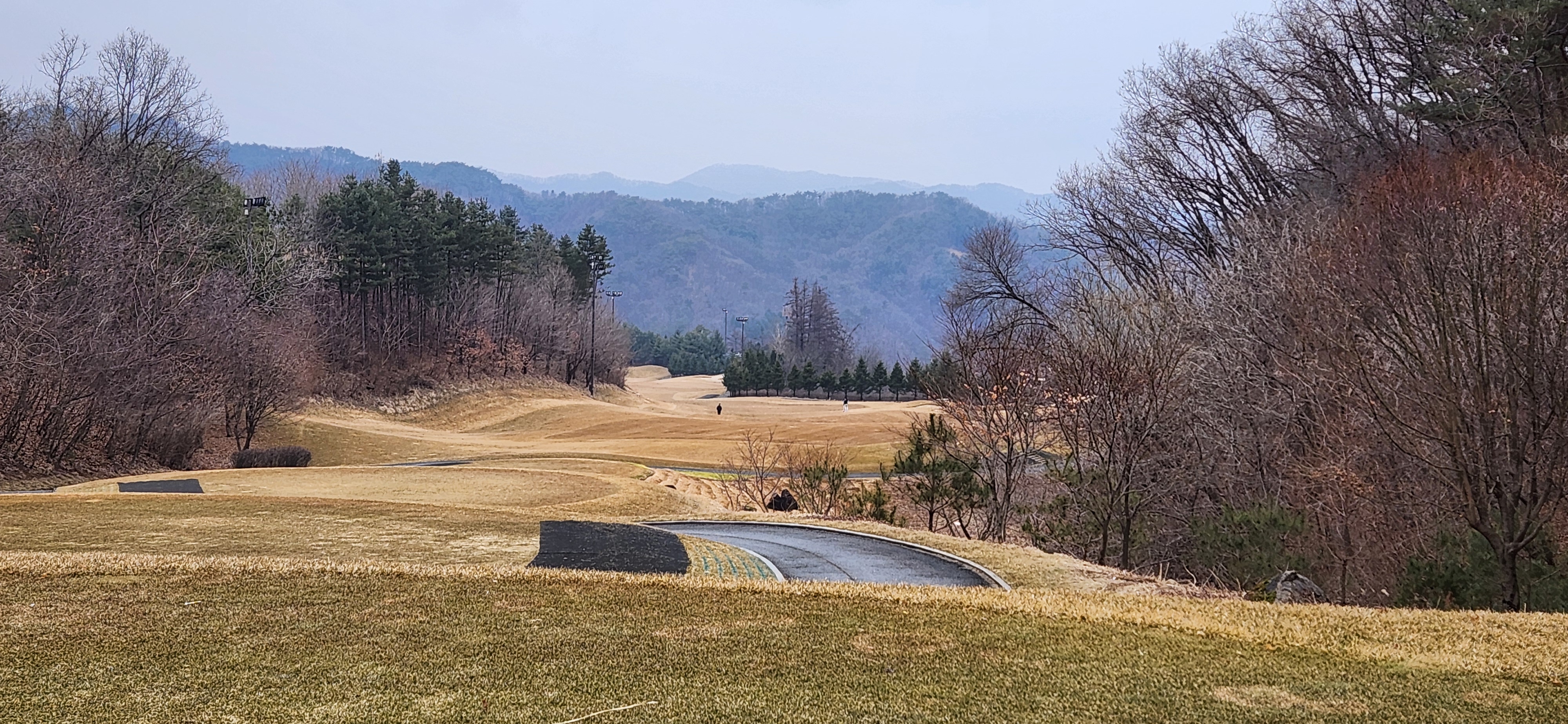힐드로사이cc