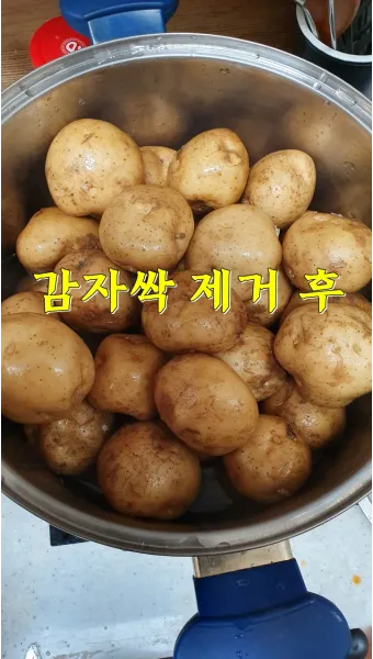싹난 감자 먹기 주의점 레시피_7