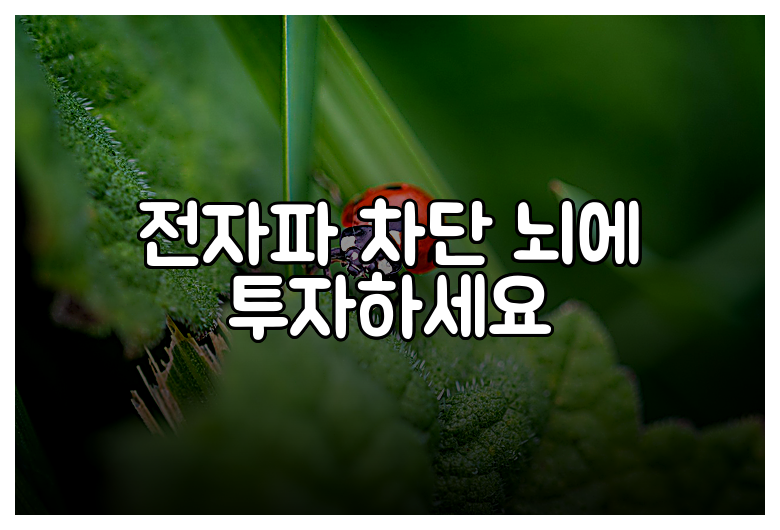 전자파 차단 뇌에 투자하세요