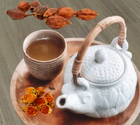 치자차