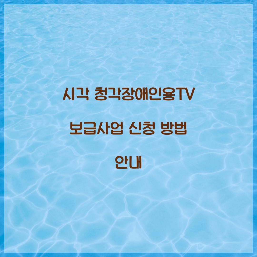 시각 청각장애인용TV 보급사업