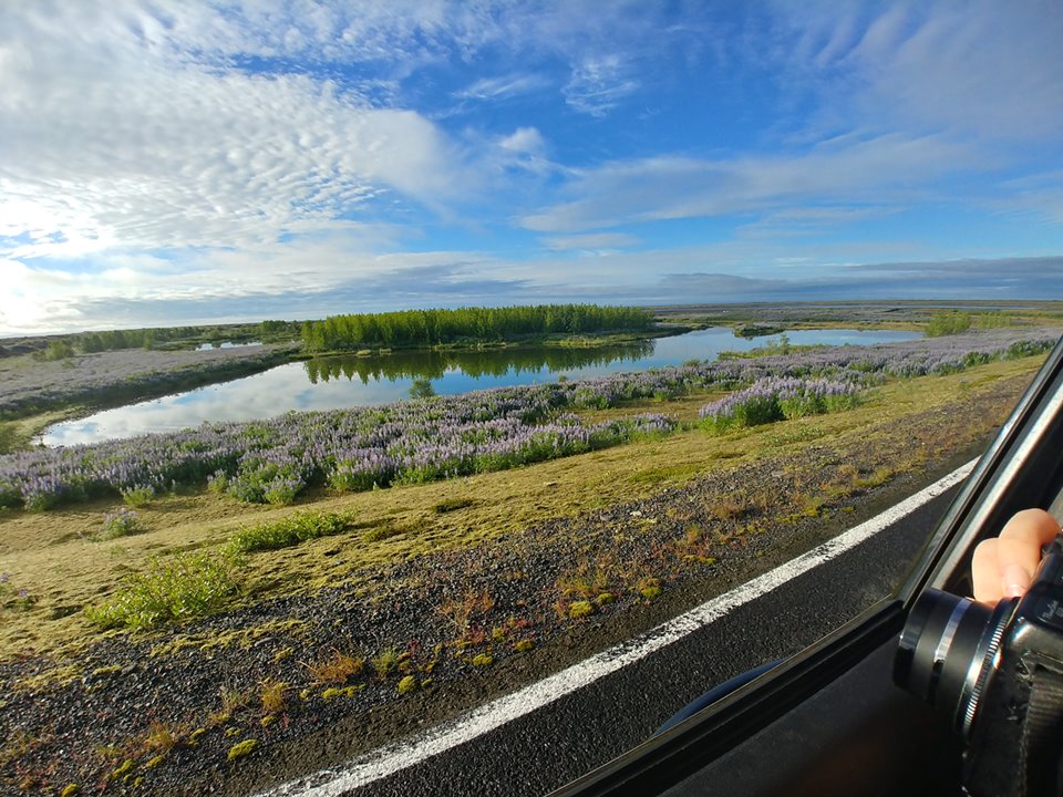 아이슬란드-여름-풍경