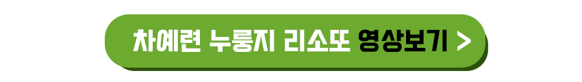 차예련 누룽지 리소토 영상보기