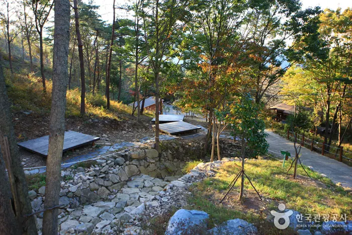 천관산 자연휴양림 전경 이미지