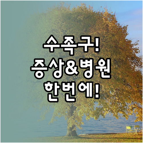 수족구 증상부터 동해시 병원 선택까지..