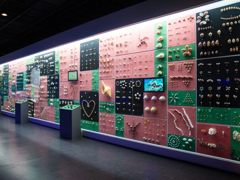 땅끝해양자연사박물관