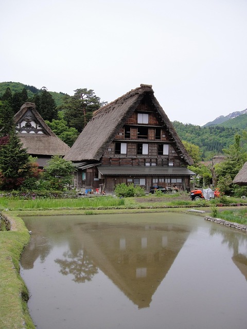 일본 전통 가옥