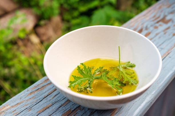 시트로넬라_그라스