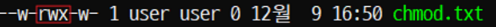 group에 execute권한 추가 output