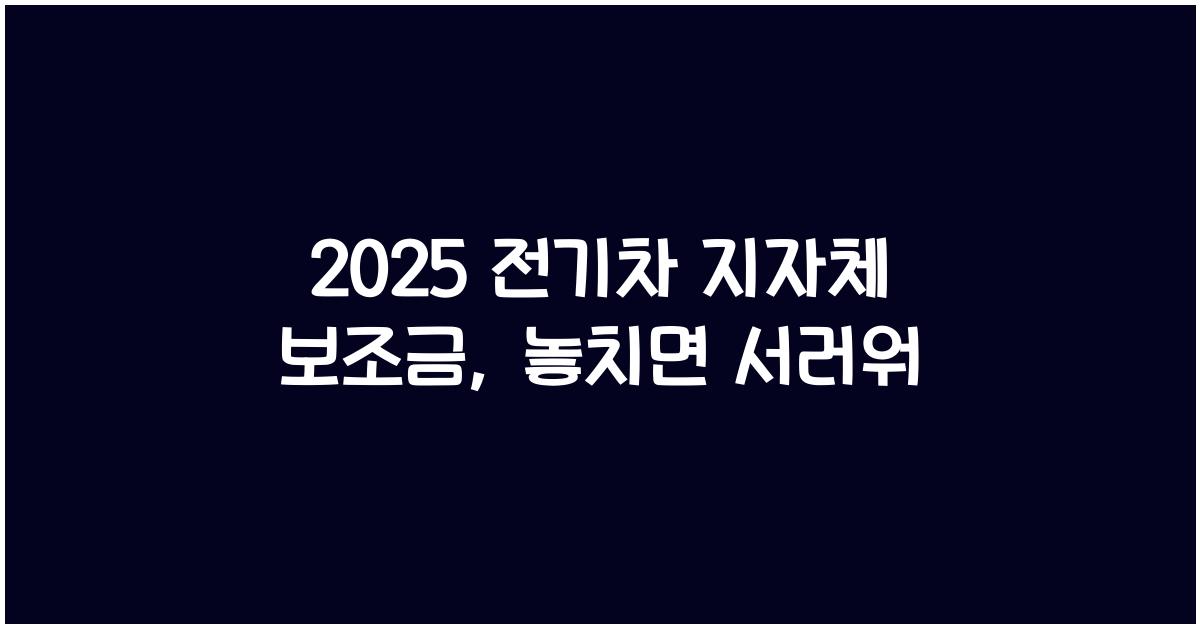 2025 전기차 지자체 보조금