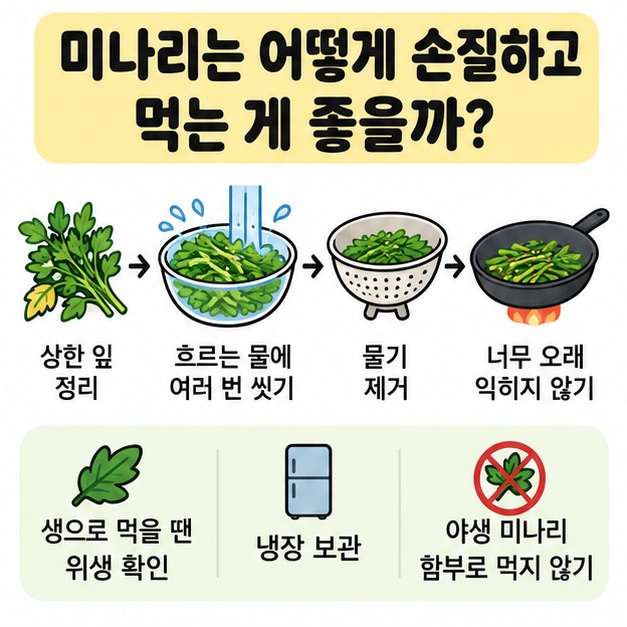미나리 세척, 짧게 익히기, 냉장 보관, 위생 확인을 보여주는 체크 그림