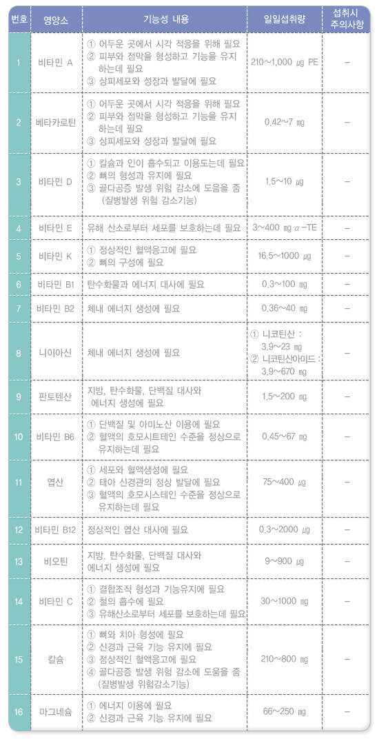 영양소