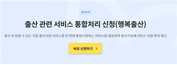 2024년 출산장려금 및 보조금 신청방법, 필요서류