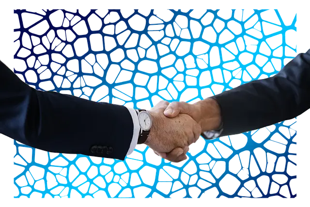 뇌의 자기조직화: 뇌 네트워크의 자가 조직화 과정