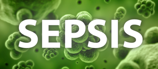 패혈증