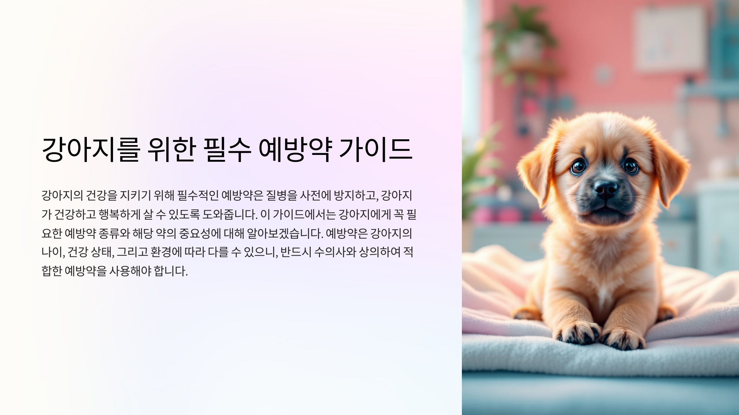 강아지에게 필요한 필수 예방약 리스트