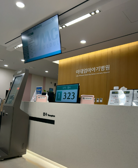 이란성 쌍둥이 임신 25~26주 진료, 태아 성장&middot;체중 증가&middot;영양제 후기