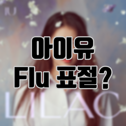 아이유 Flu 표절