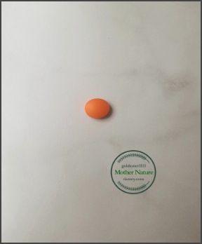 약-모양-검색