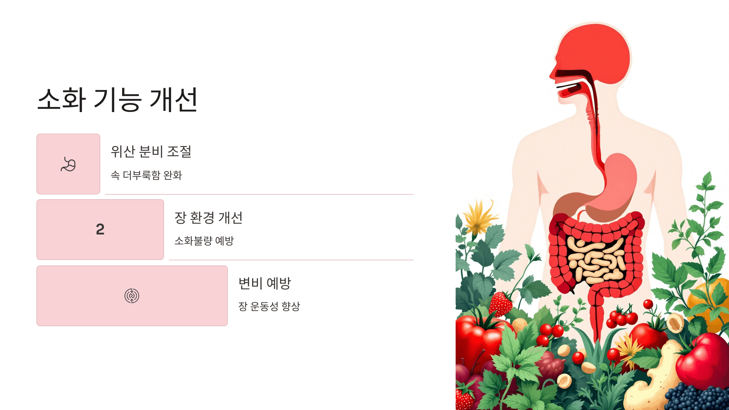 마가목 사진입니다.