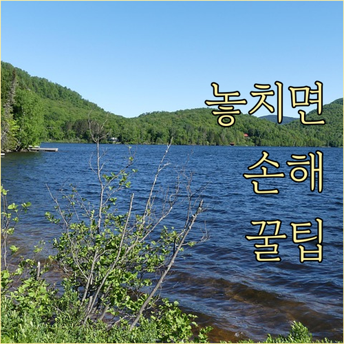 트레이더스 신세계상품권 알뜰하게 사용..