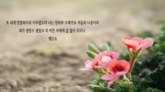 요한계시록 21장 새 하늘과 새 땅 말씀 강해 설교_26