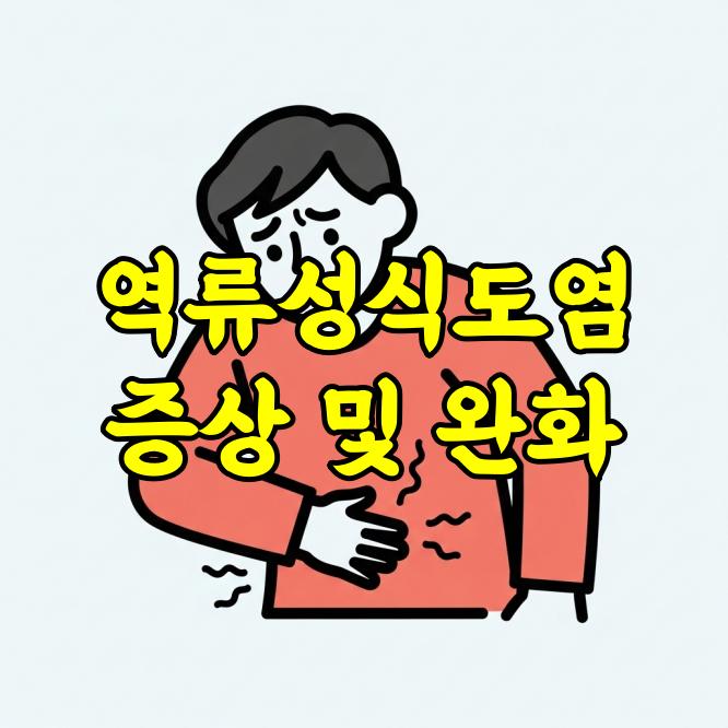 역류성식도염 증상 총정리: 원인부터 자가진단, 완화 방법까지