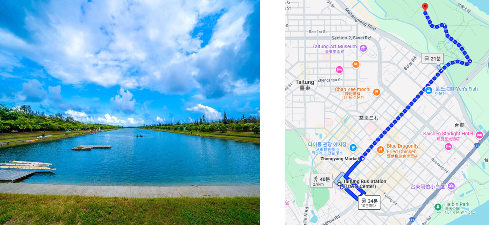 타이동 삼림공원