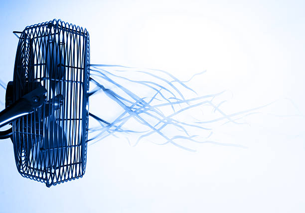 여름용 선풍기 구매 전 5가지 꼭 확인하세요.