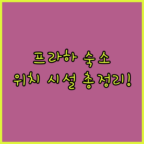 직접 분석한 프라하 인기 숙소 특징 ..