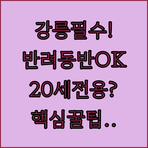 반려동물 동반 가능 강릉 숙소부터 만..