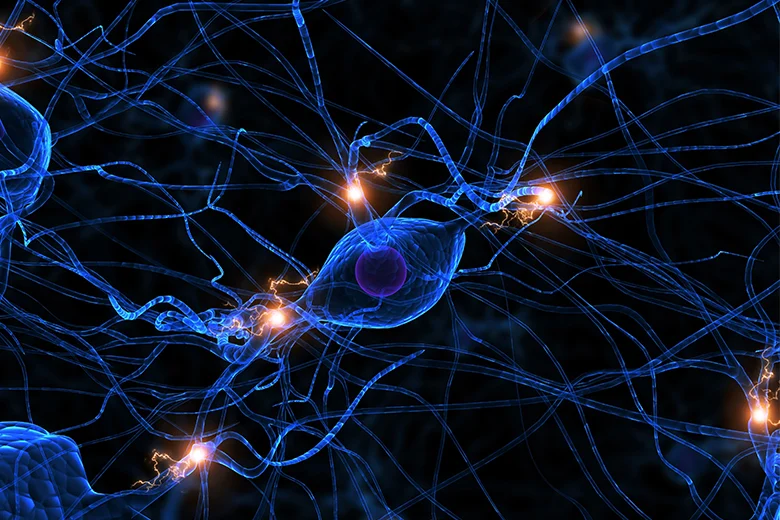 뉴로모픽반도체활용