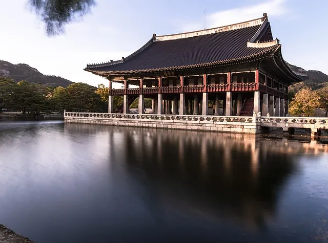 창덕궁 만첩홍매화 개화시기 명소_9