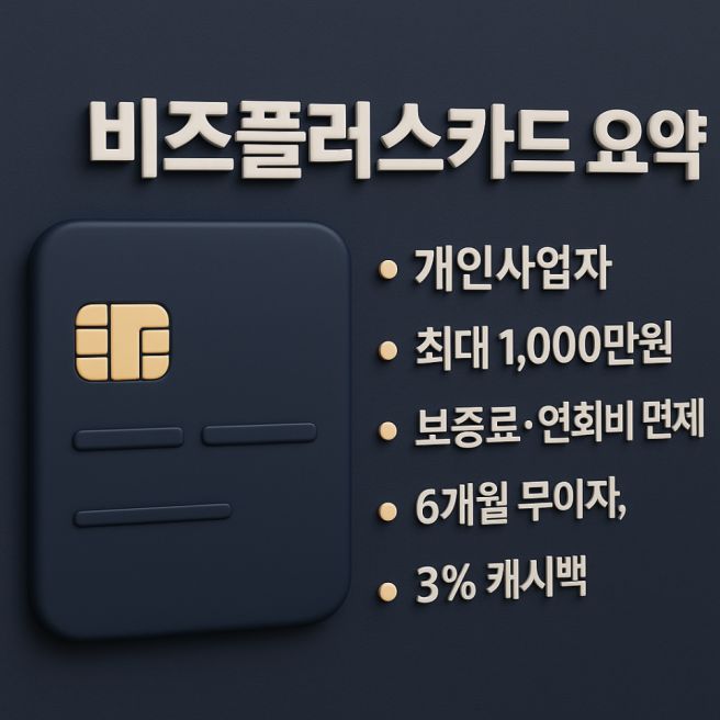 소상공인 비즈플러스카드