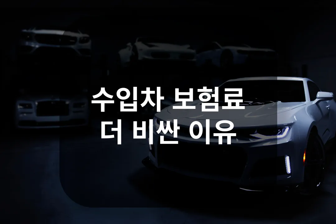 수입차 보험료 비싼 이유