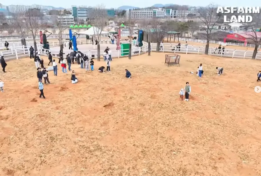 안성팜랜드-입장료-승마센터-파라다이스독-요금