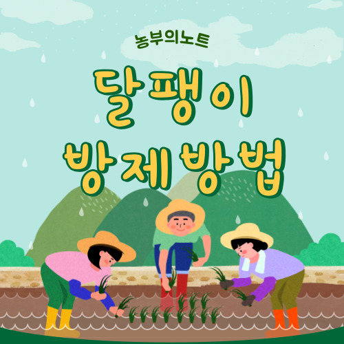 농사 시 달팽이 방제방법 정리