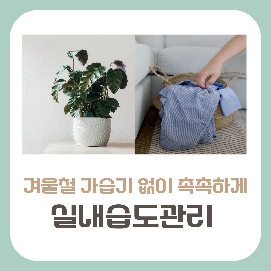 가습기 없이 실내습도관리