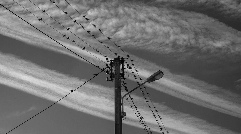 드래그 체인 케이블의 정의와 기능