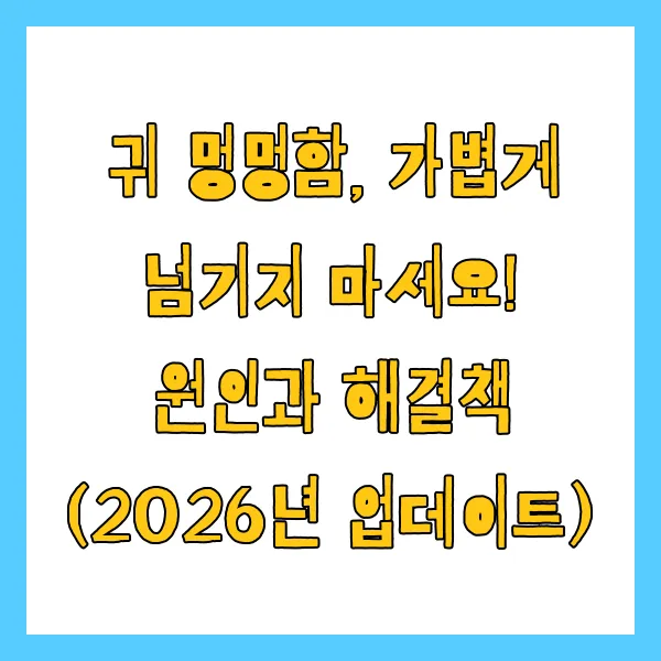 귀 멍멍함, 가볍게 넘기지 마세요! 원인과 해결책 (2026년 업데이트)