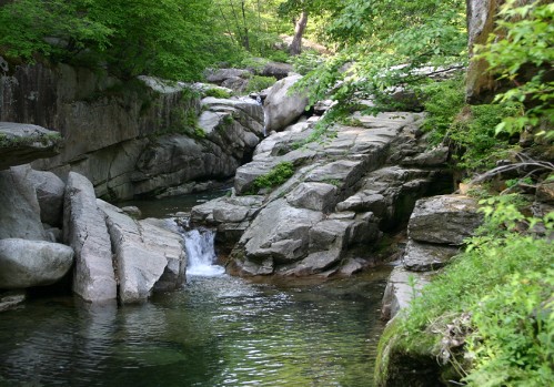 내장산-새재계곡