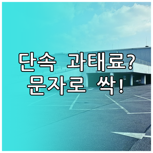 광주시 주정차 단속 문자 알림 서비스..