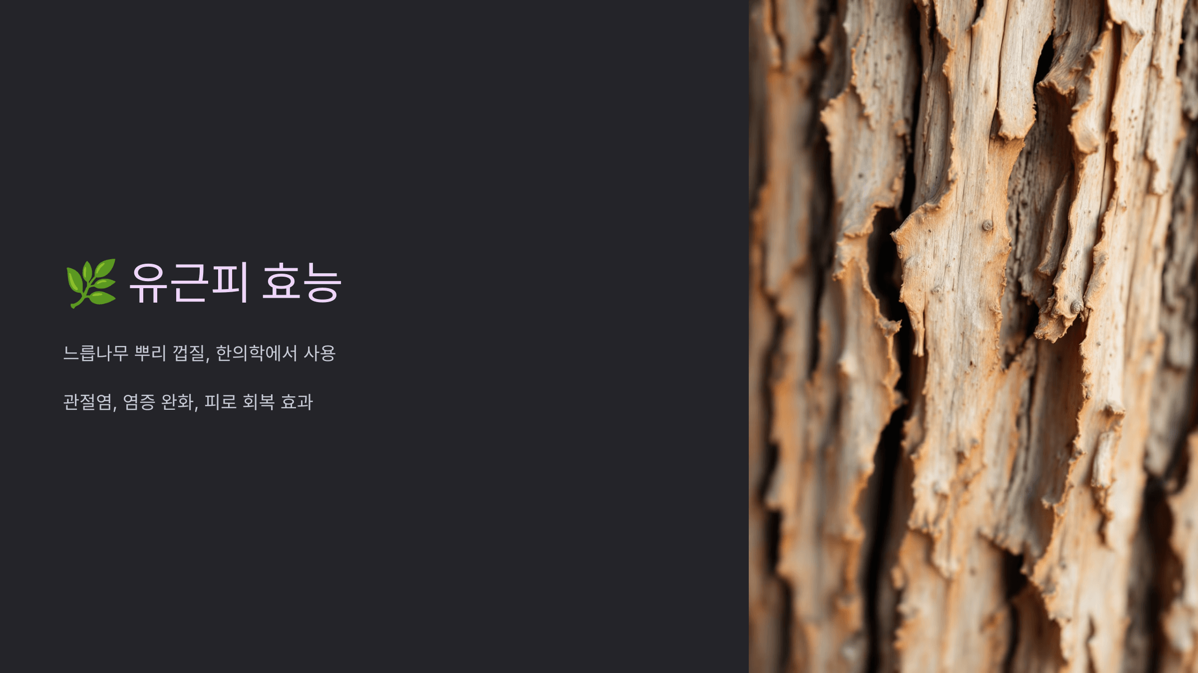 유근피 사진입니다.