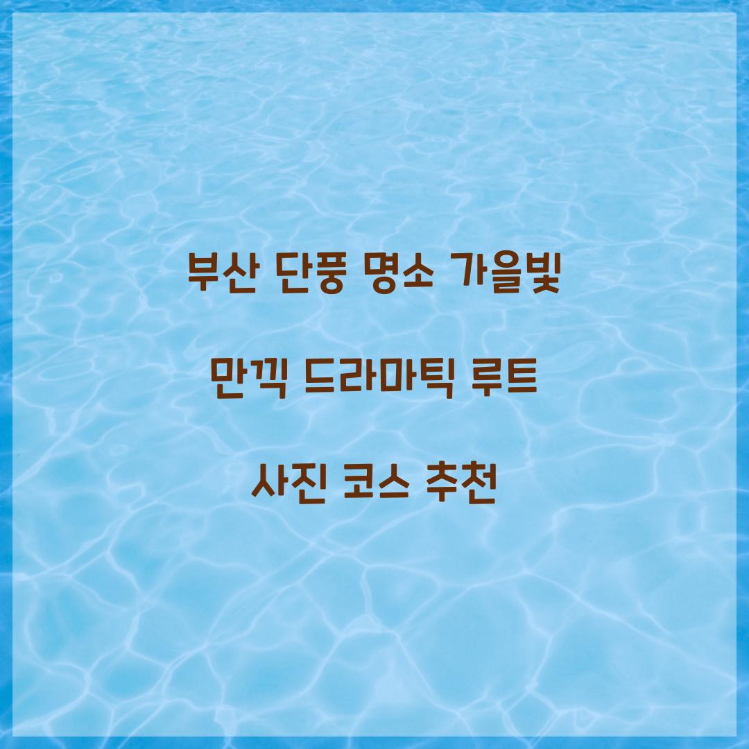 부산 단풍 명소
