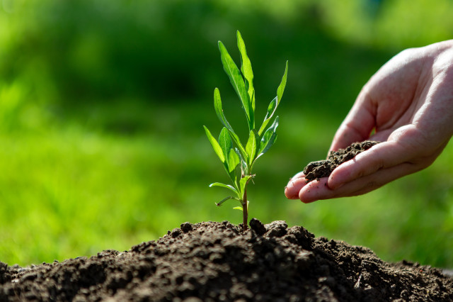 공복혈당이란? 공복 혈당 관리하는 방법